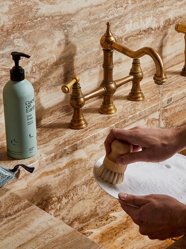 Guests on Earth Dish Soap