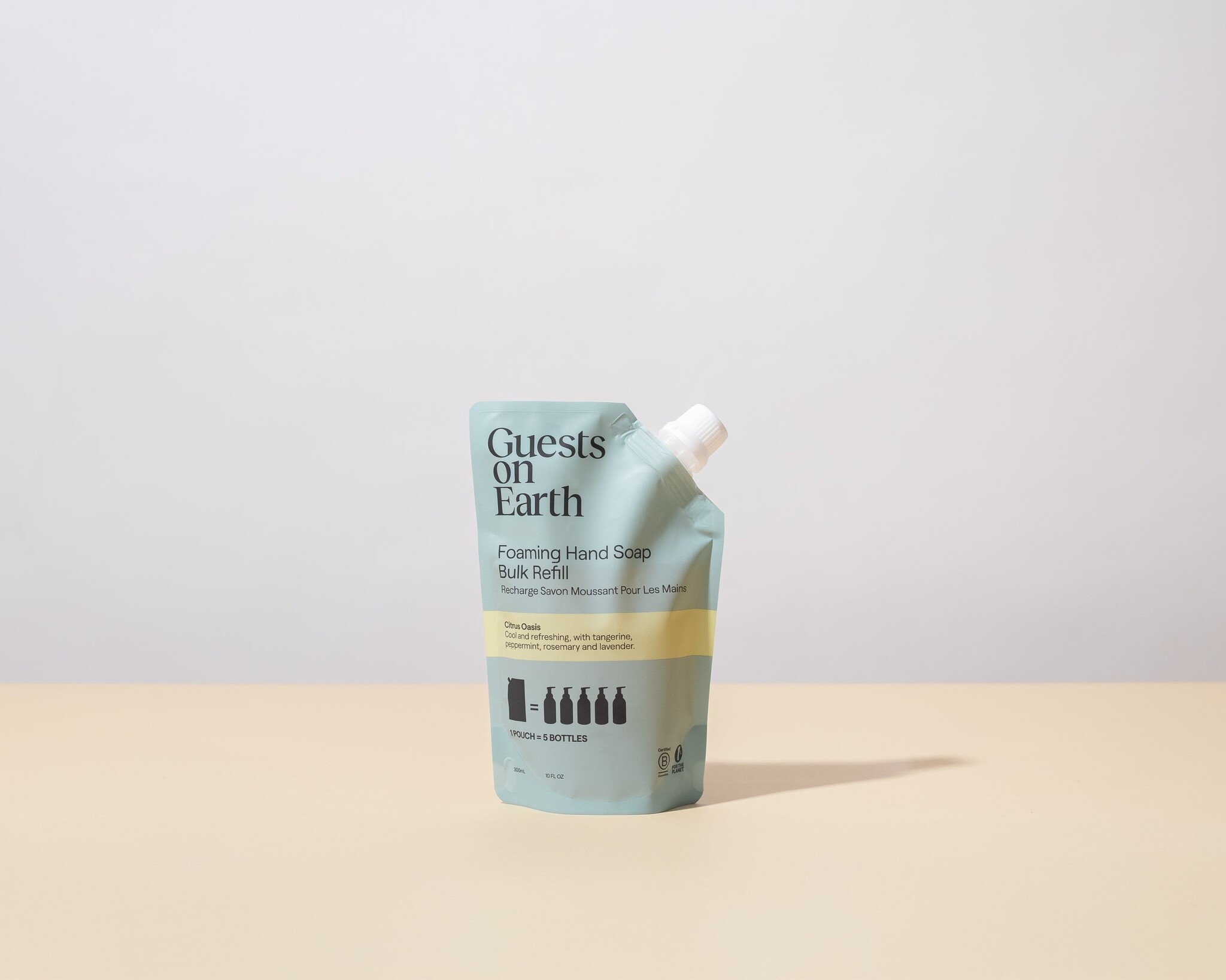 Guests on Earth Foaming Hand Soap