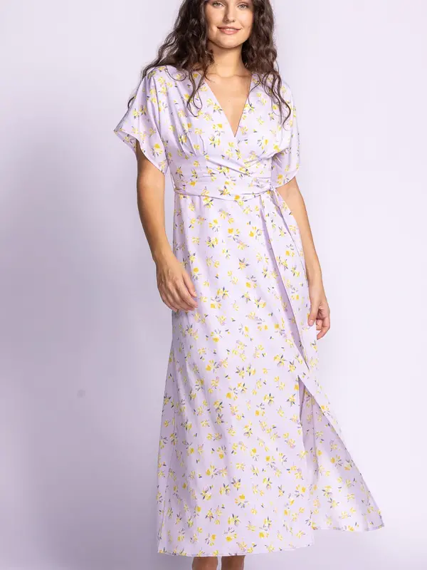Pink Martini Brittany Dress