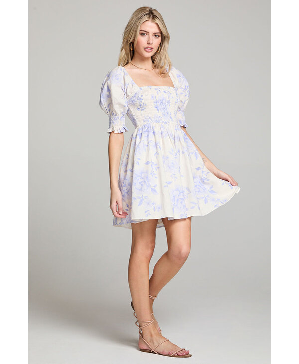 Saltwater Luxe Floras Mini Dress