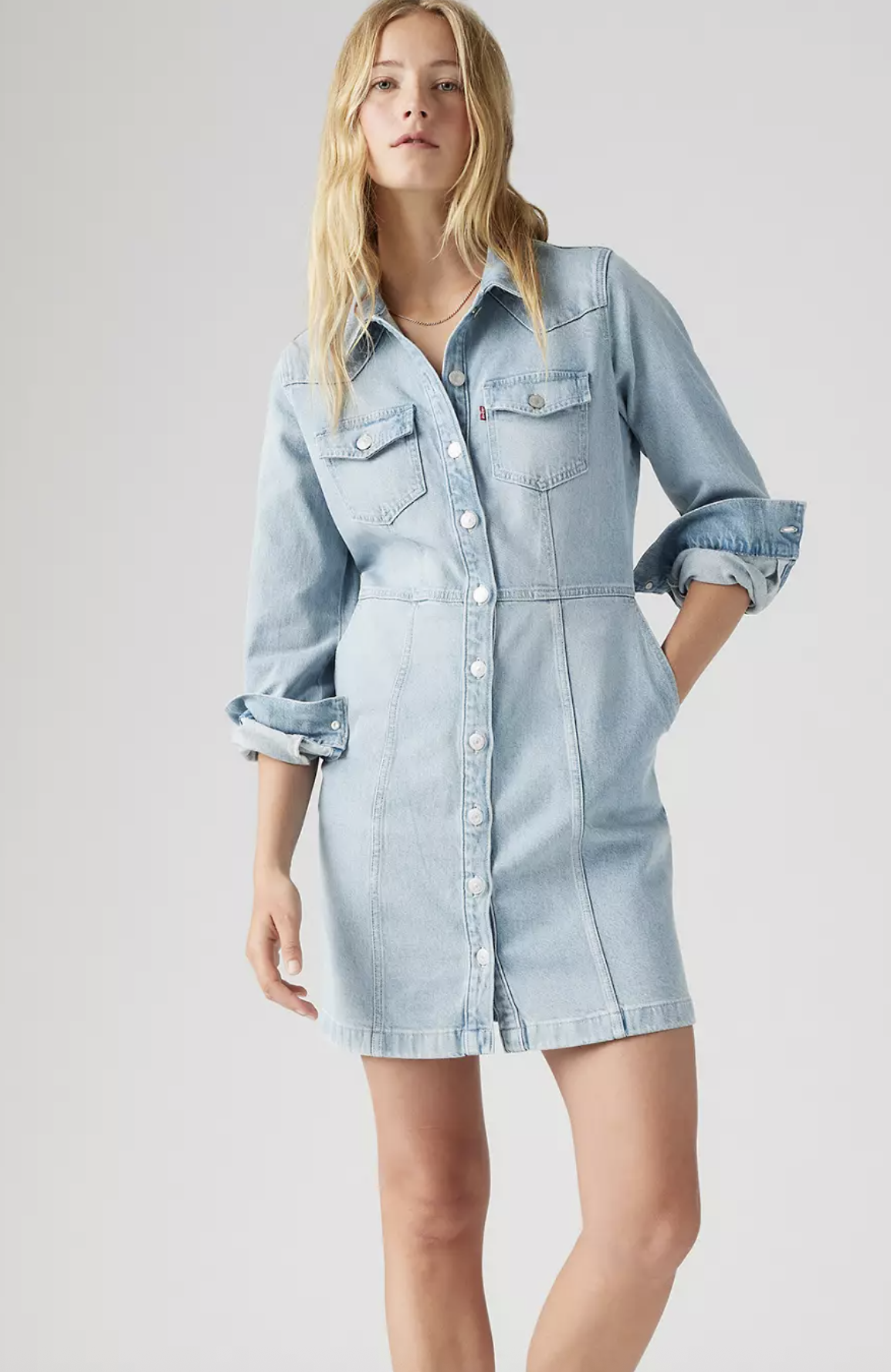 Levi Strauss & Co. Flynn Western Core Dress, Plant Pause