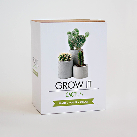 Gift Republic Grow It! Cactus Plants