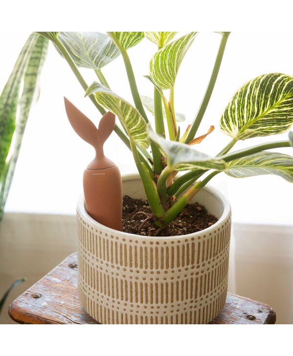 KIKKERLAND Terracotta Watering Stake