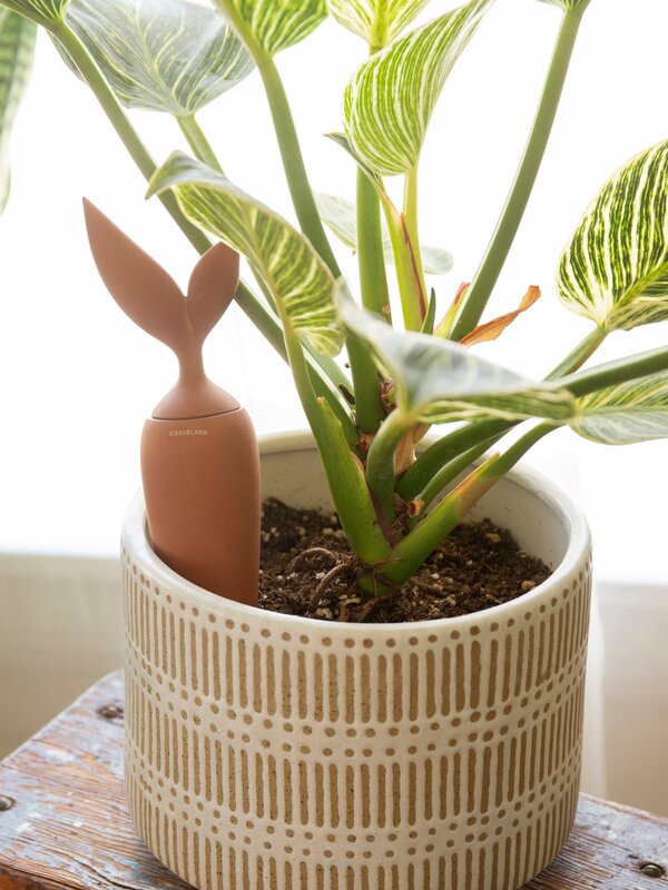 KIKKERLAND Terracotta Watering Stake