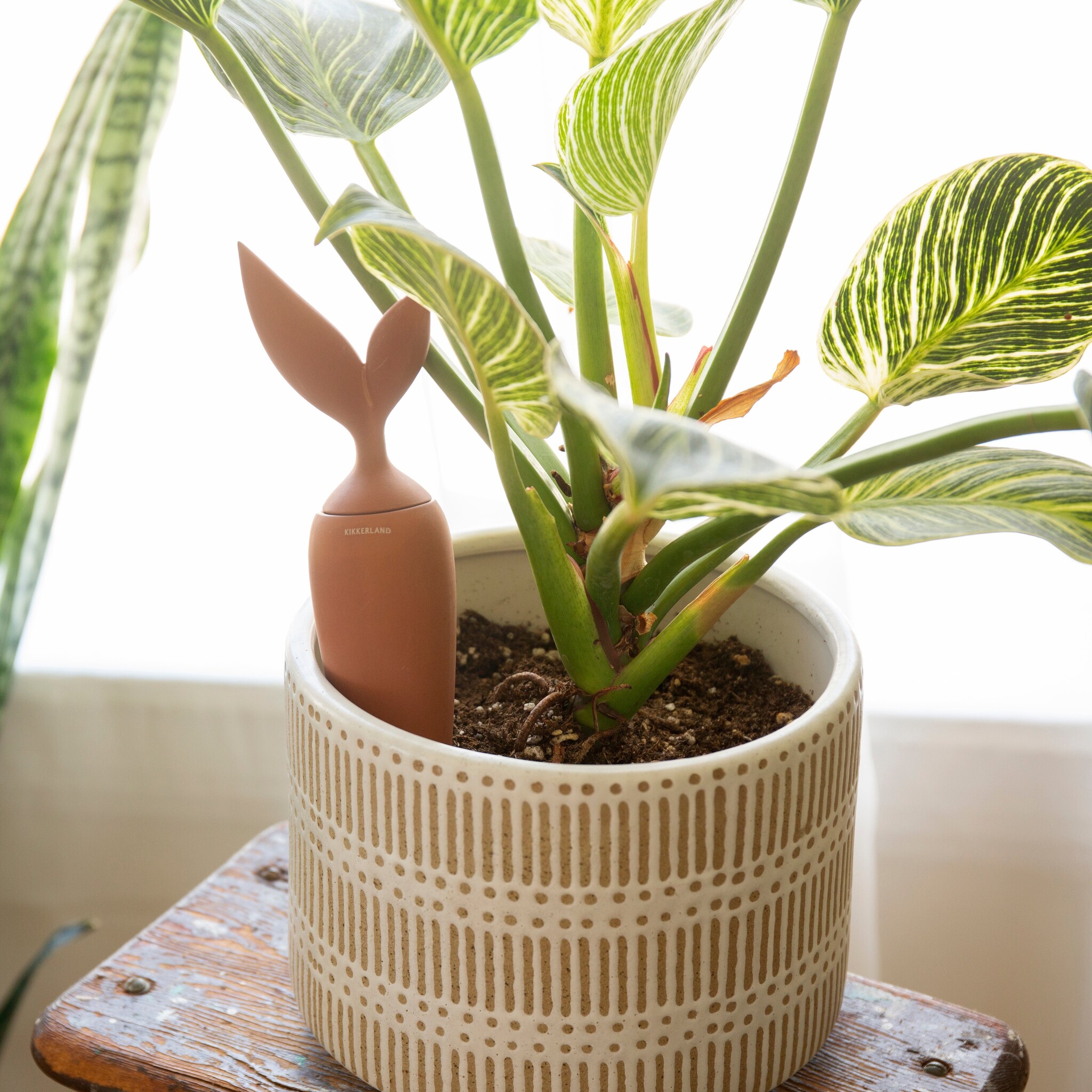 KIKKERLAND Terracotta Watering Stake