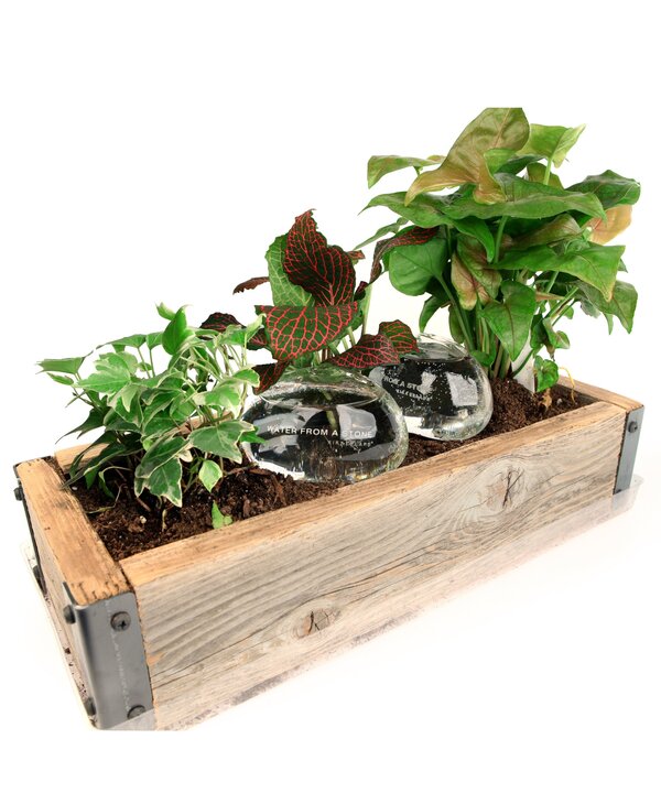 KIKKERLAND Water Rocks Set of 2