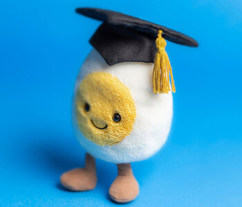 Amuseables Boiled Egg Graduation