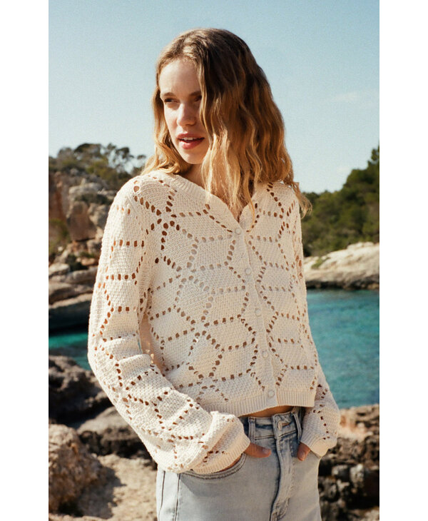 Z Supply Rosalyn Sweater Cardigan