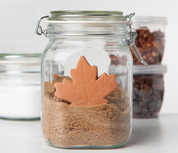 Maple Leaf Terracotta Sugar Saver
