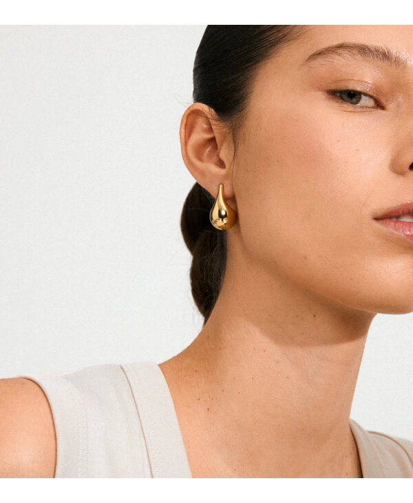 Pilgrim JUNIPER Earrings