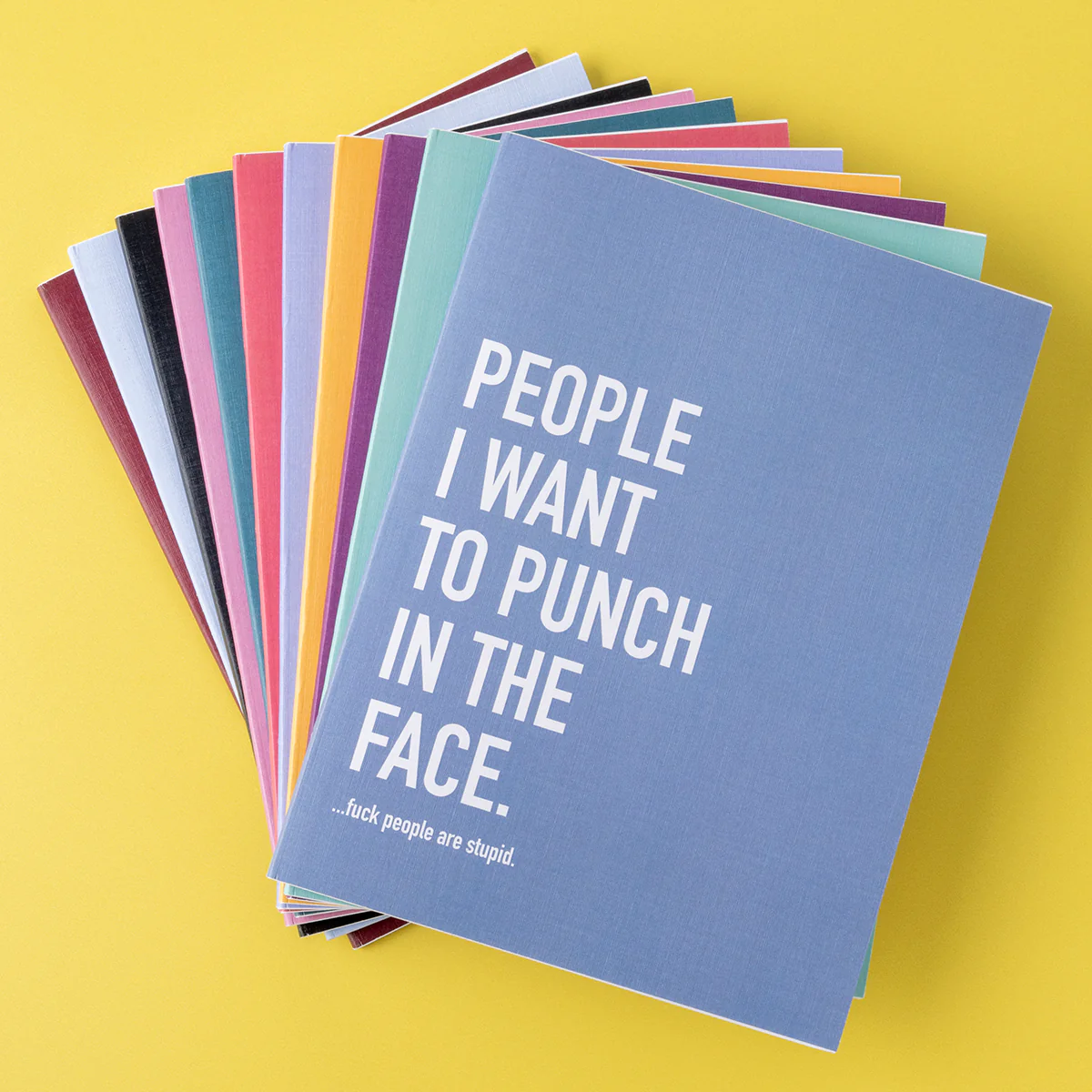 Classy Cards Sarcastic Notebook