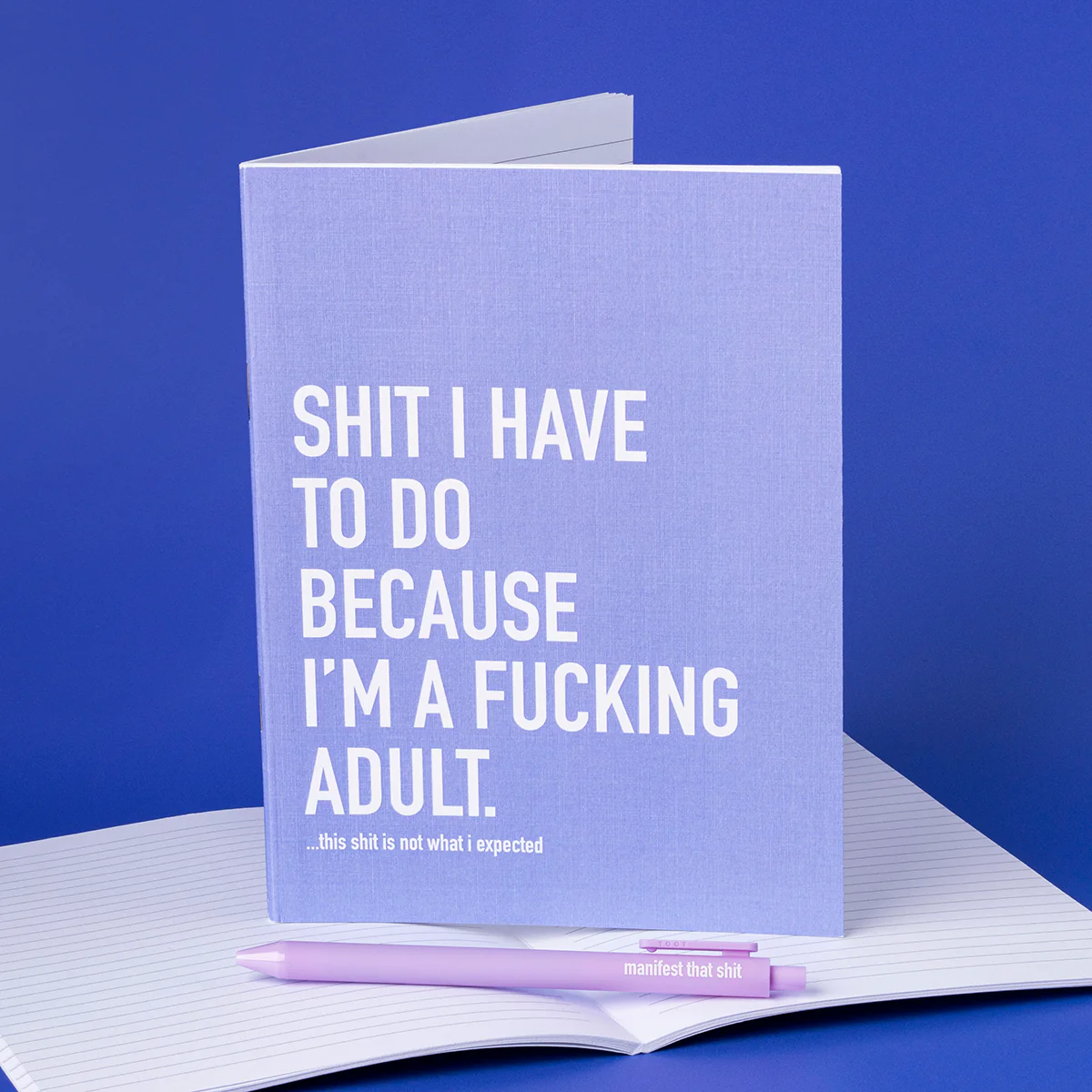 Classy Cards Sarcastic Notebook