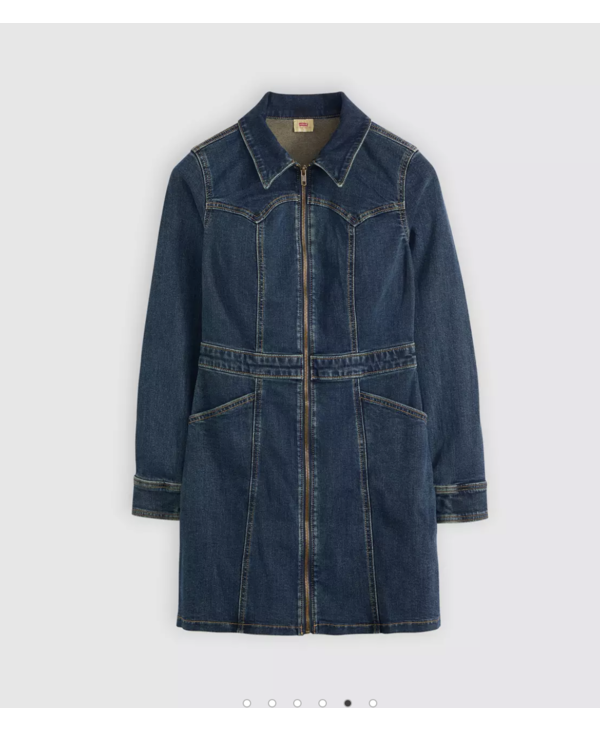 Levi Strauss & Co. Retro Dress, Dolly Pardon