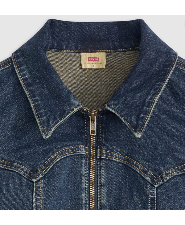 Levi Strauss & Co. Retro Dress, Dolly Pardon