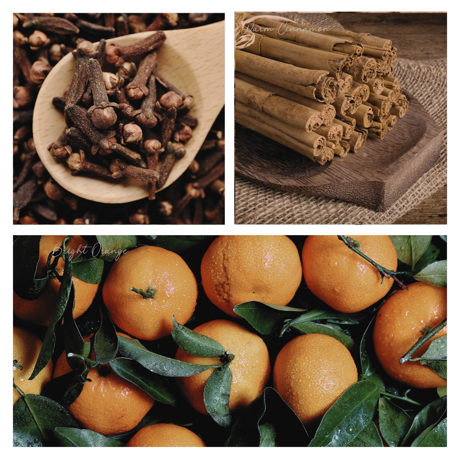Simmer and Co Natural Aroma Be Merry & Bright Simmer Pot Mix, Holiday Aroma