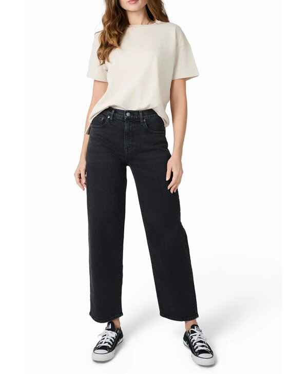 Modern American Daisy, Telluride