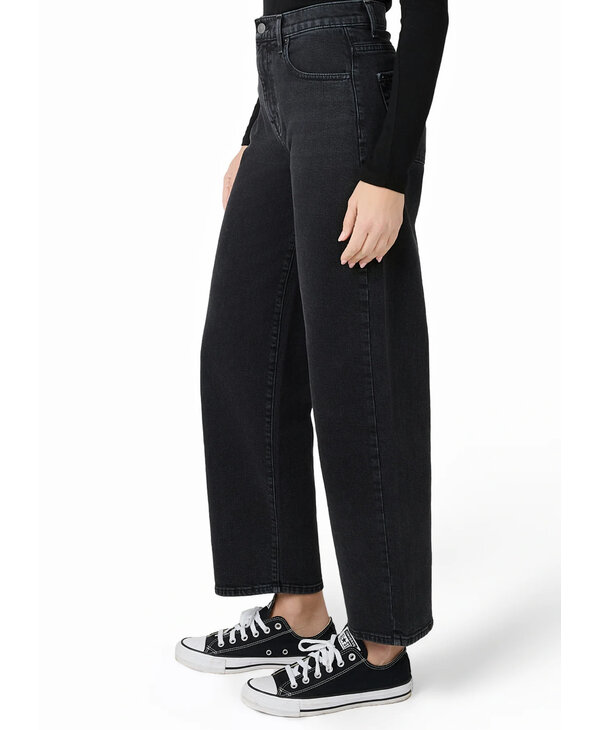 Modern American Daisy, Telluride