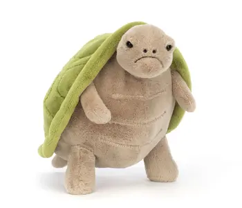 Timmy Turtle