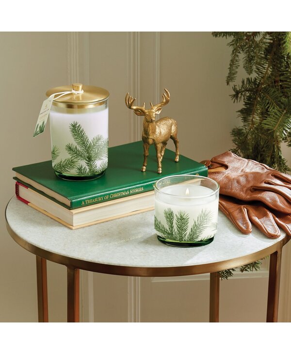 Thymes Frasier Fir Pine Needle Luminary, 16oz