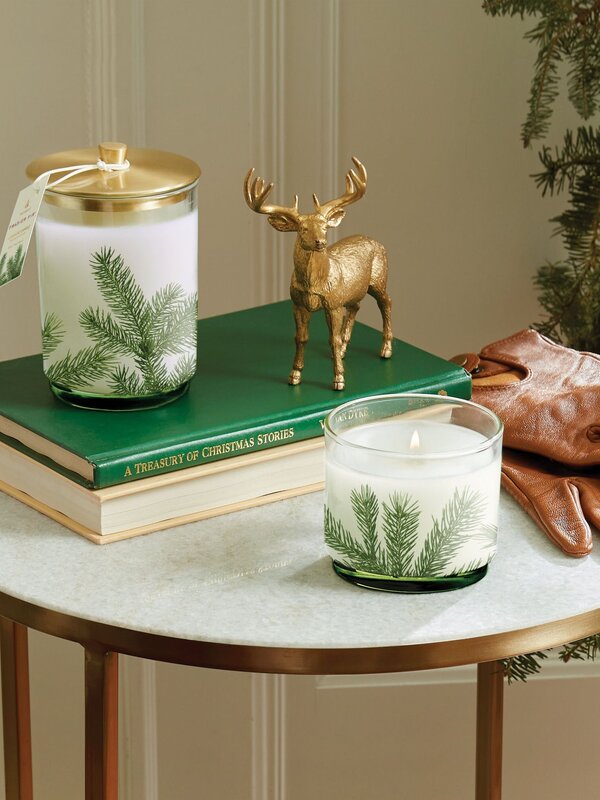 Thymes Frasier Fir Pine Needle Luminary, 16oz