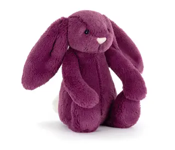 Bashful Allium Bunny