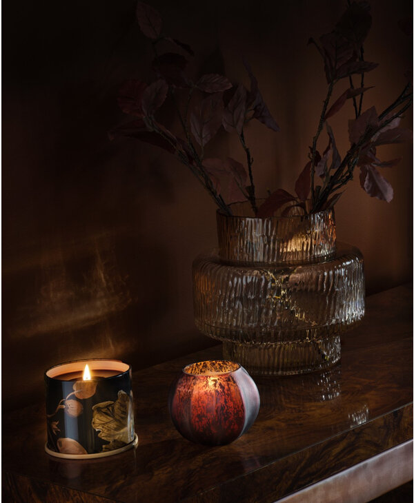 Illume Illume Midnight Pumpkin