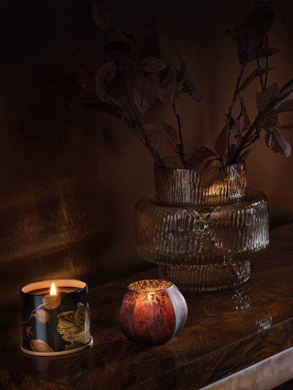 Illume Illume Midnight Pumpkin