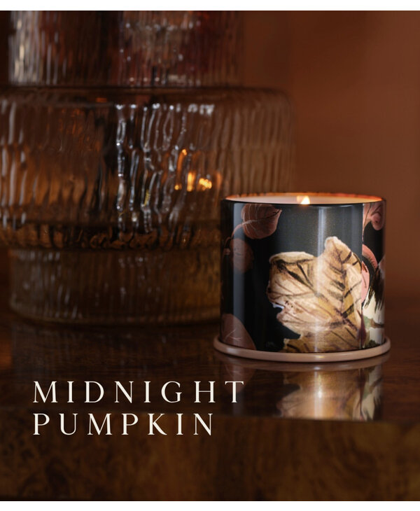 Illume Illume Midnight Pumpkin