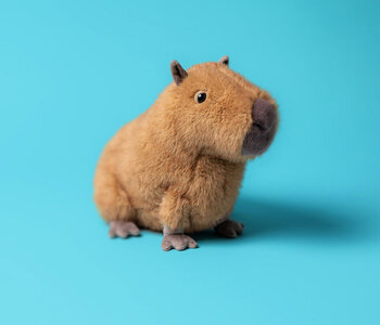Clyde Capybara