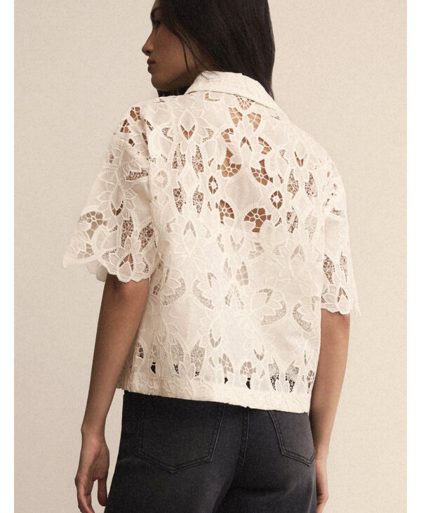 Z Supply Midnight Lace Top