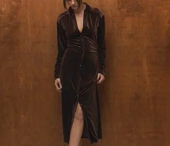 Phoenix Velvet Brown Dress