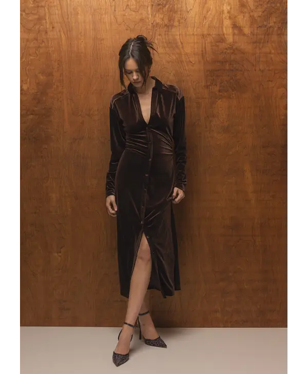 Velvet Heart Phoenix Velvet Brown Dress