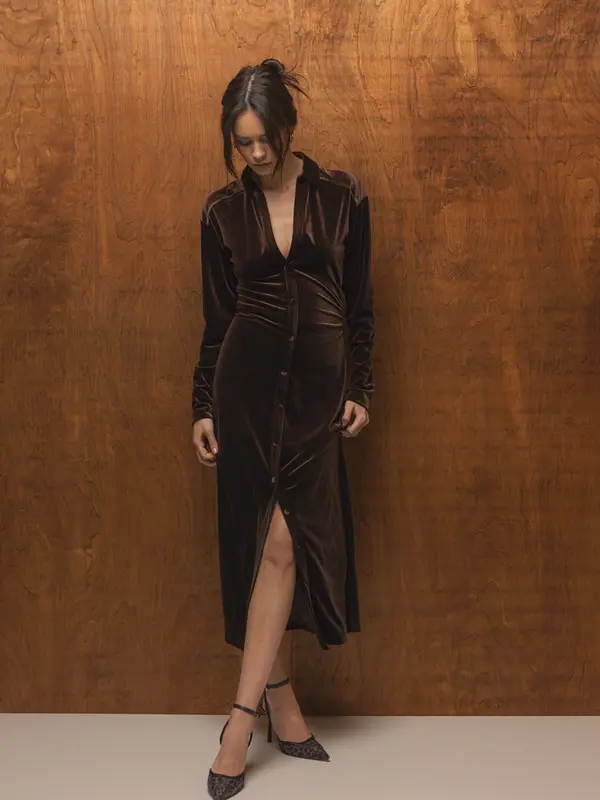 Velvet Heart Phoenix Velvet Brown Dress