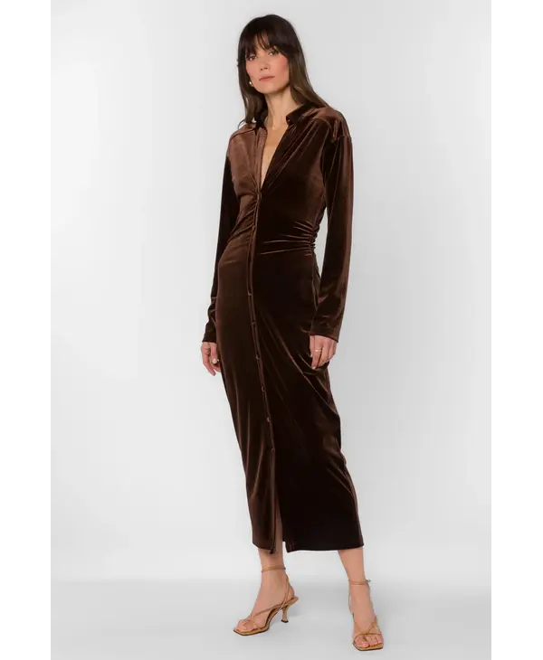 Velvet Heart Phoenix Velvet Brown Dress