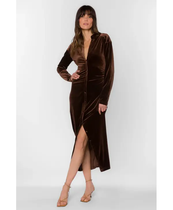 Velvet Heart Phoenix Velvet Brown Dress