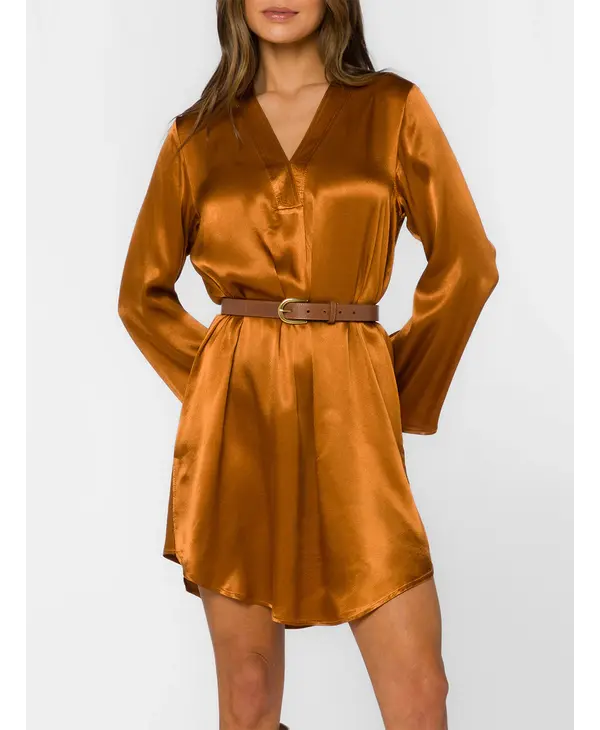 Velvet Heart Amira Shirt Dress
