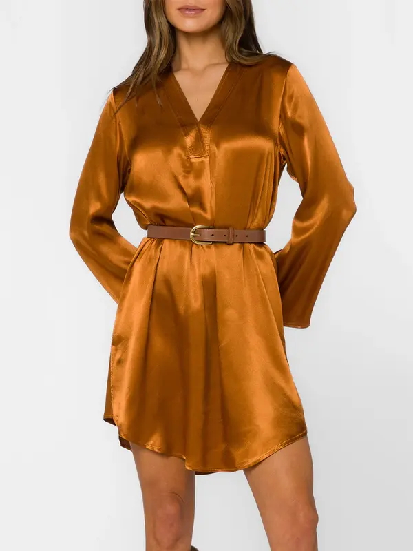 Velvet Heart Amira Shirt Dress