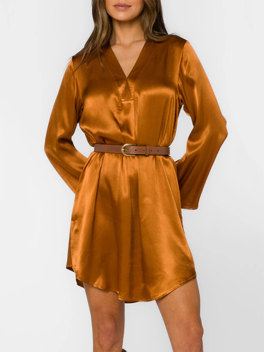 Velvet Heart Amira Shirt Dress