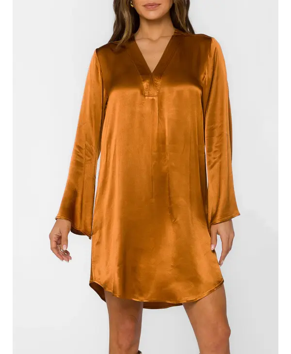 Velvet Heart Amira Shirt Dress