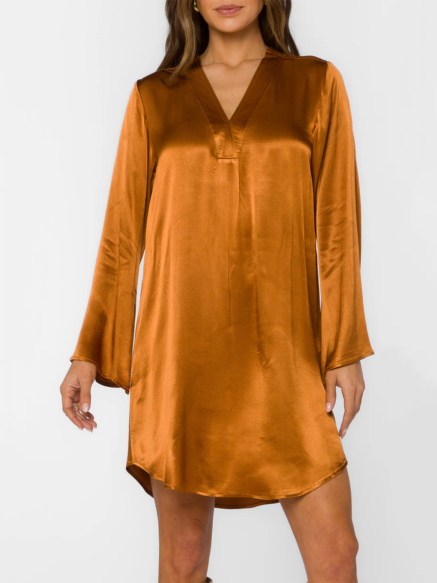 Velvet Heart Amira Shirt Dress