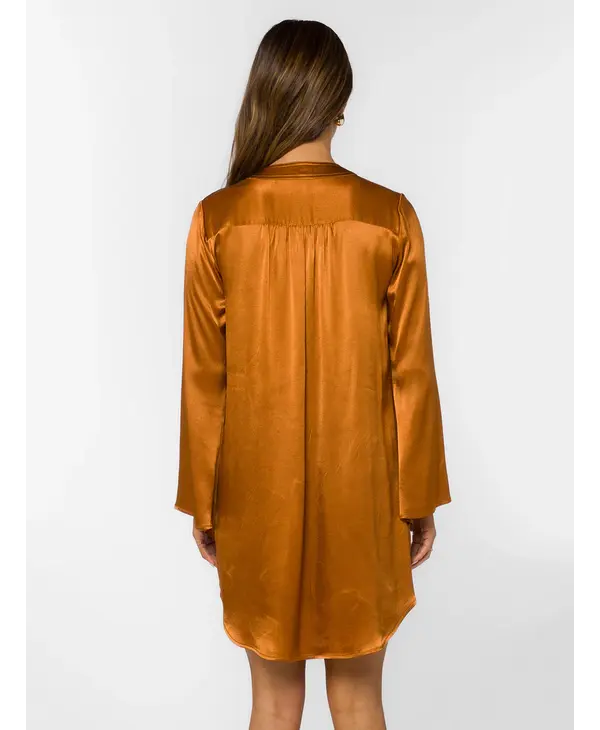 Velvet Heart Amira Shirt Dress