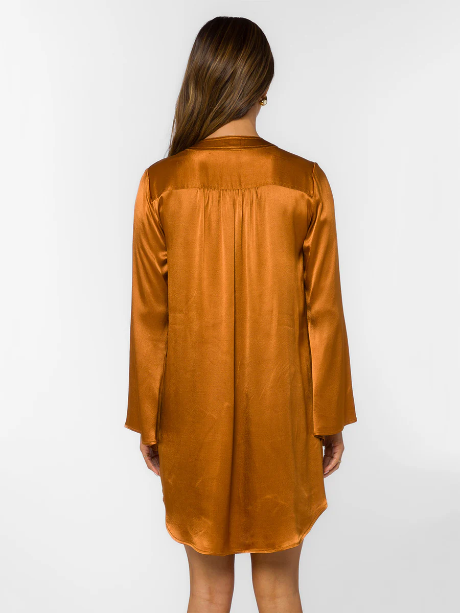 Velvet Heart Amira Shirt Dress