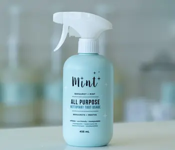 Mint All Purpose Cleaner