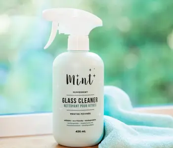 Mint Glass Cleaner