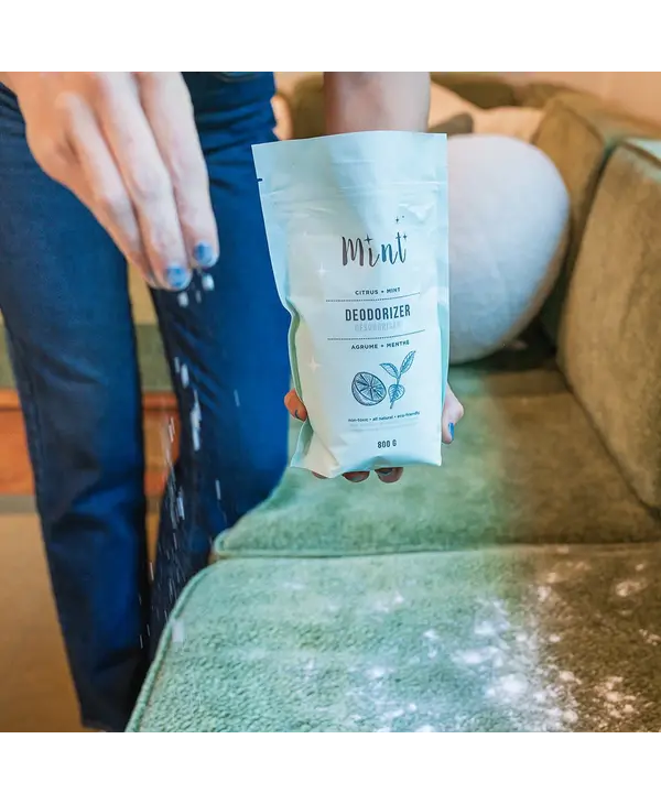 Mint Mint Deodorizer