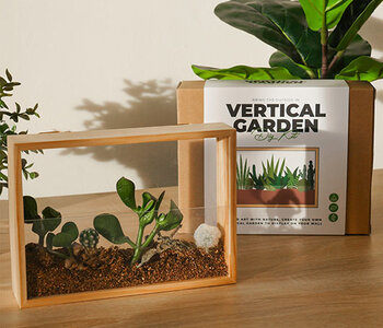 Vertical Garden DIY Kit