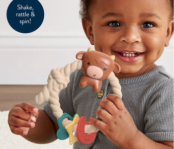 Ritzy Rattle Silicone Teether