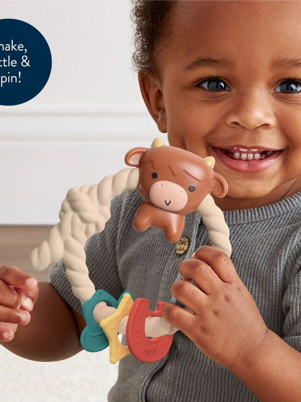 Itzy Pop & Whirl Ritzy Rattle Silicone Teether