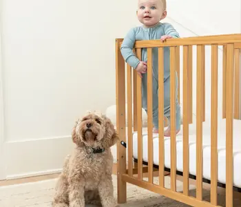 Rib Zip Fit & Beanie Set