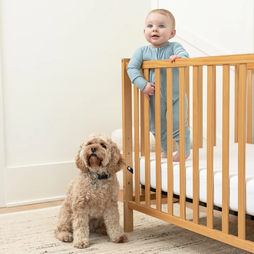 Bella Tunno Rib Zip Fit & Beanie Set